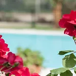 וילה Gerbera *