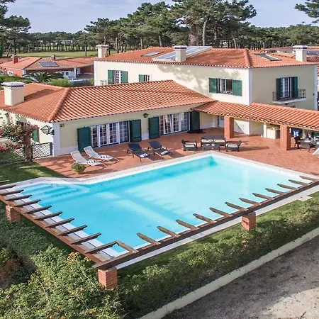 Gerbera Villa Apostica