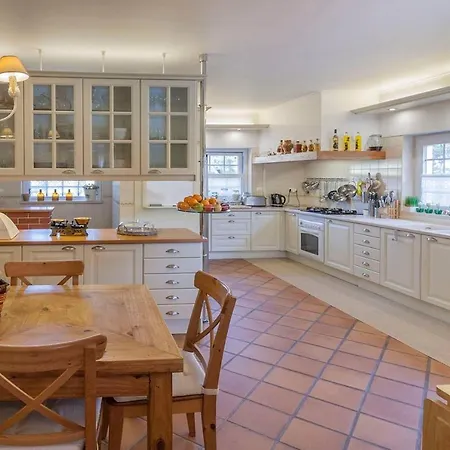 Gerbera Villa Apostica