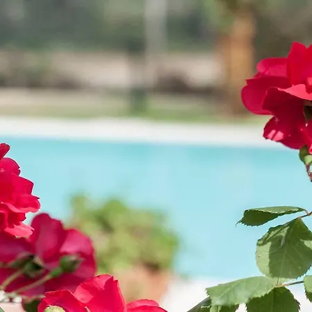 Villa Gerbera *