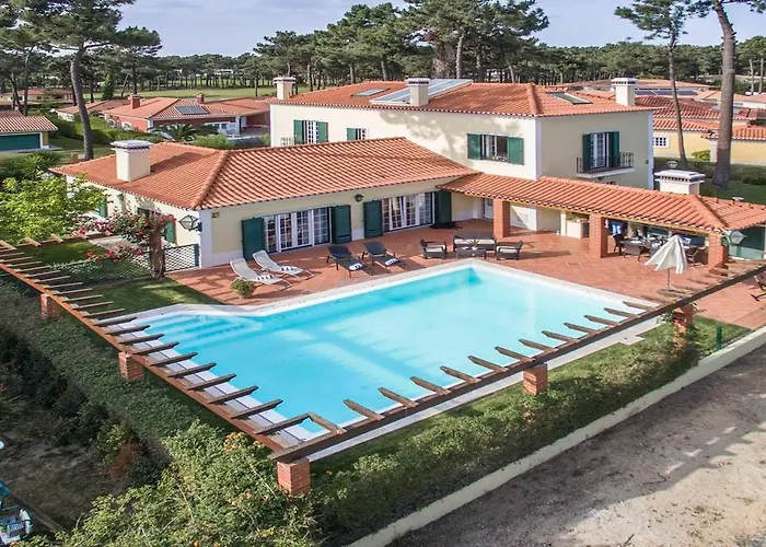 Gerbera Villa Apostica